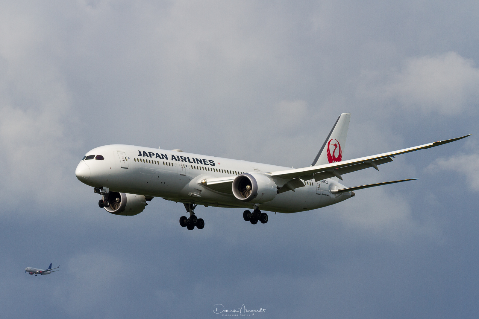 Japan Airlines / Boeing 787-9 Dreamliner / JA862J / FRA / EDDF